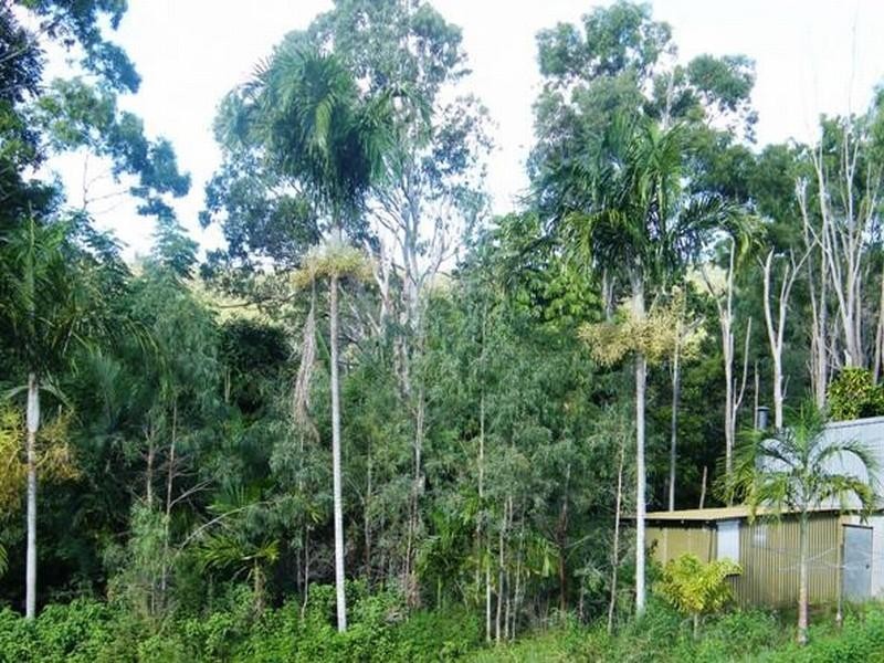 222 Stones Rd, Yeppoon QLD 4703