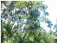 222 Stones Rd, Yeppoon QLD 4703