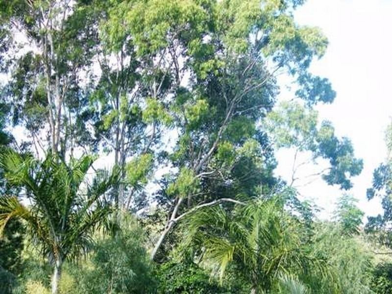 222 Stones Rd, Yeppoon QLD 4703