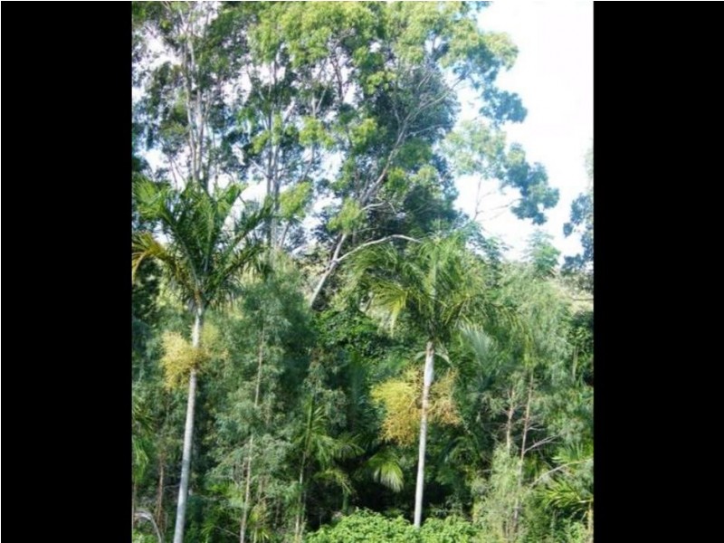 222 Stones Road, Yeppoon QLD 4703