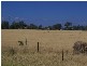 Lot 24 Shakespear, Comet QLD 4702