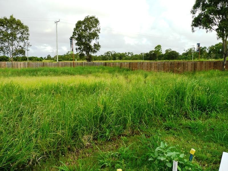 43 Lakeside Dve, Yeppoon QLD 4703