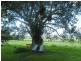 249 Madges Road, Yeppoon QLD 4703