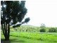 249 Madges Road, Yeppoon QLD 4703