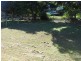Yeppoon QLD 4703