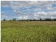 2758 Airstrip Road, Nebo QLD 4742