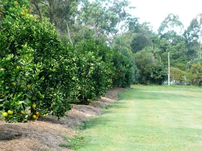 Yeppoon QLD 4703