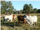 Yeppoon QLD 4703