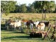 Yeppoon QLD 4703