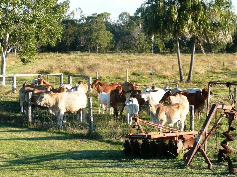 Yeppoon QLD 4703