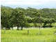 190 Daly Creek Road, Yeppoon QLD 4703