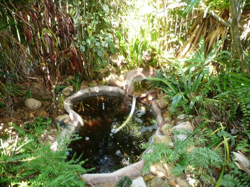 8 School St, Yeppoon QLD 4703