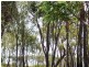 34A Coral Street, Turkey Beach QLD 4678