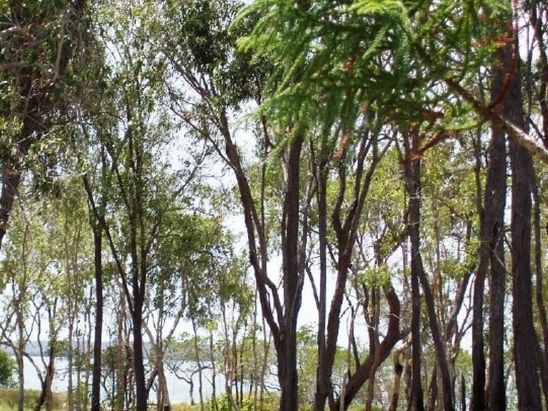 34A Coral Street, Turkey Beach QLD 4678
