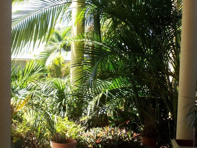 3 Tabor street, Yeppoon QLD 4703