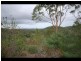 44 Clinton Road, Cawarral QLD 4702