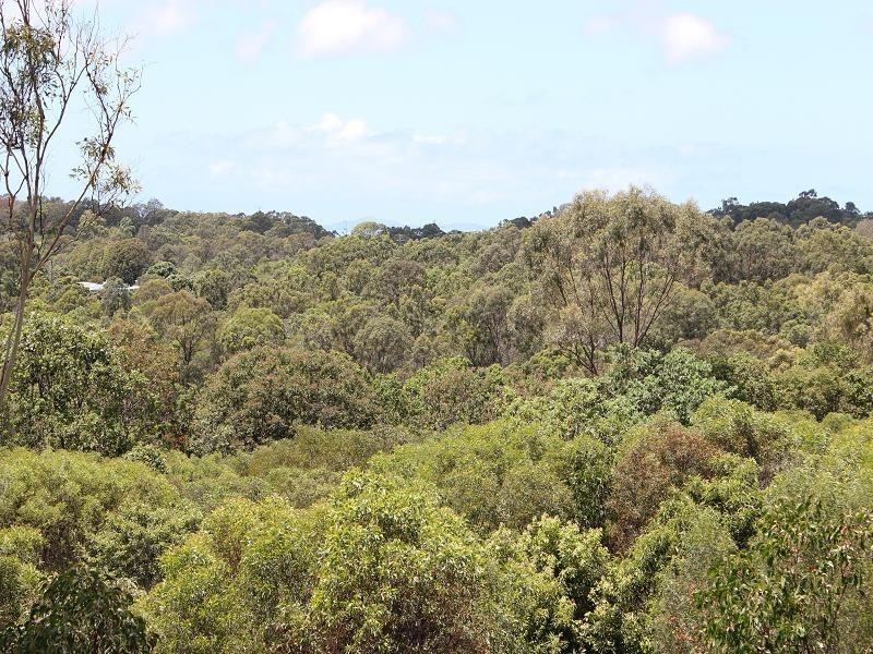 358 BROWNS LANE, Yeppoon QLD 4703