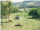 358 BROWNS LANE, Yeppoon QLD 4703