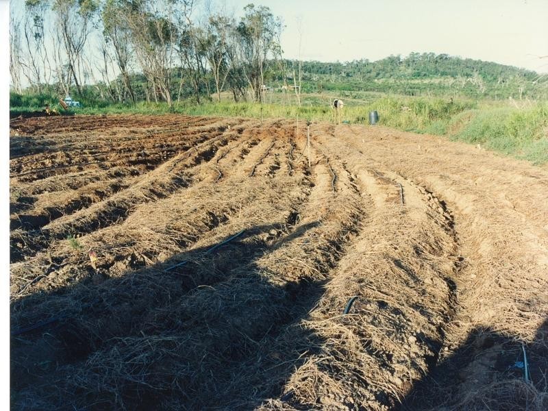 358 BROWNS LANE, Yeppoon QLD 4703