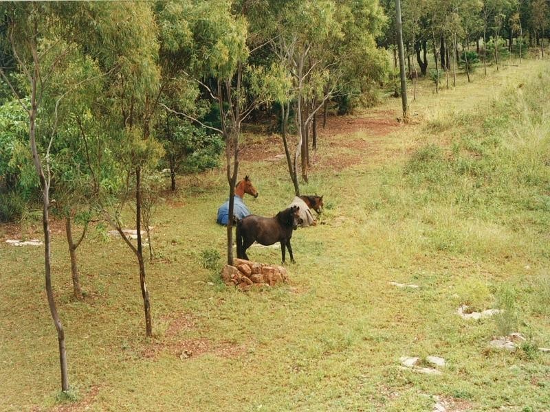 358 BROWNS LANE, Yeppoon QLD 4703