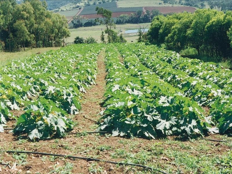 358 BROWNS LANE, Yeppoon QLD 4703