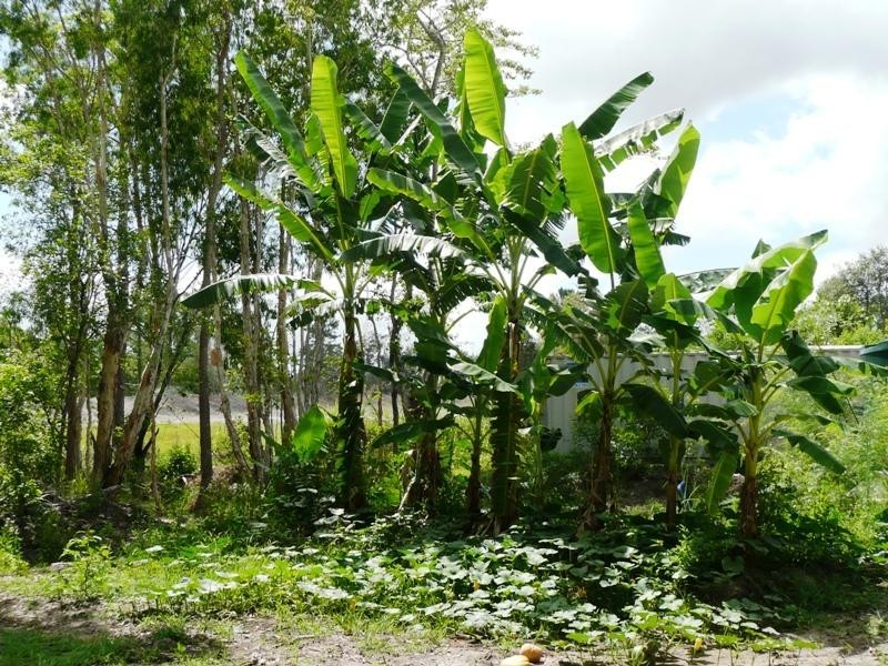 221 YAXLEYS ROAD, Yeppoon QLD 4703