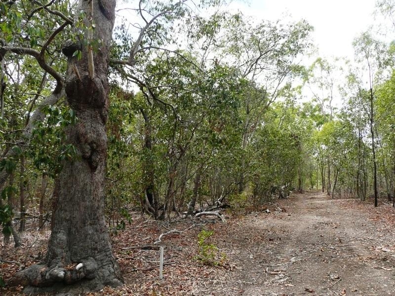 Lot 16 Woodbine Road, Yeppoon QLD 4703