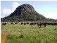 Yeppoon QLD 4703