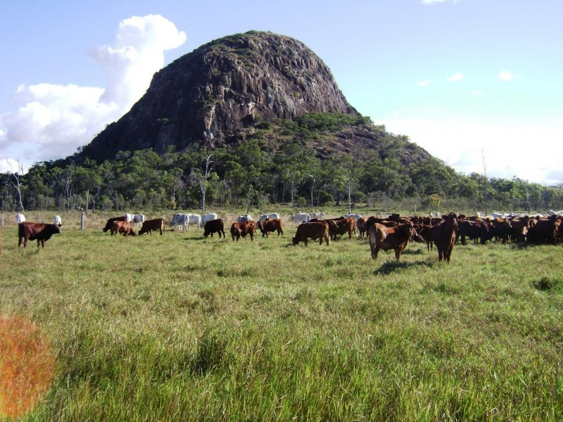 Yeppoon QLD 4703