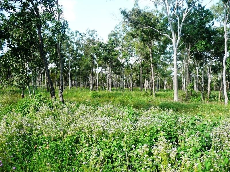 814 Bungundarra Road, Yeppoon QLD 4703