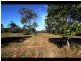 Lot 92 BUNGUNDARRA ROAD, Yeppoon QLD 4703