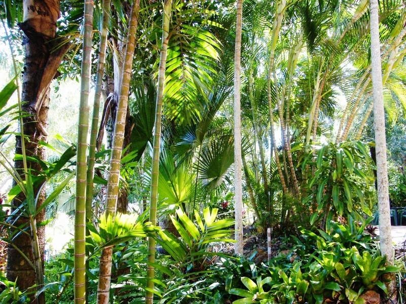 6/33 Scenic Hway, Cooee Bay QLD 4703