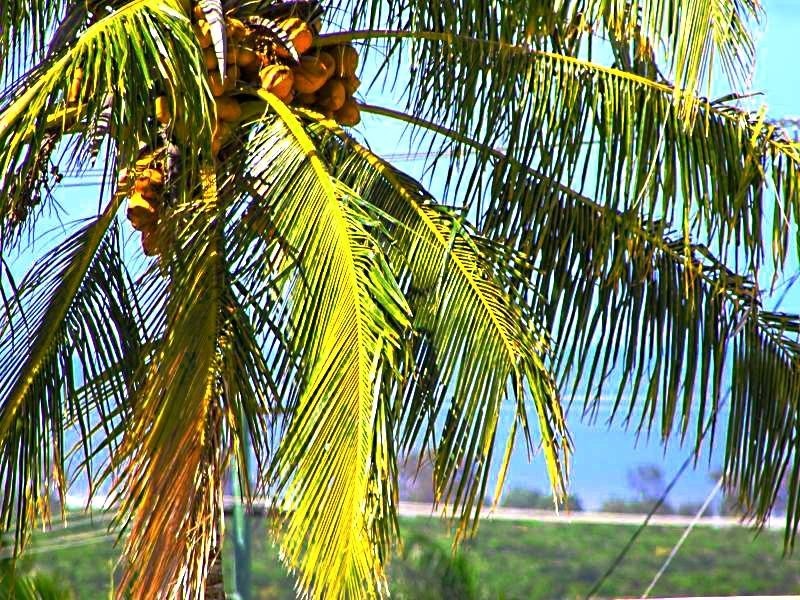 7 Hermes Street, Yeppoon QLD 4703