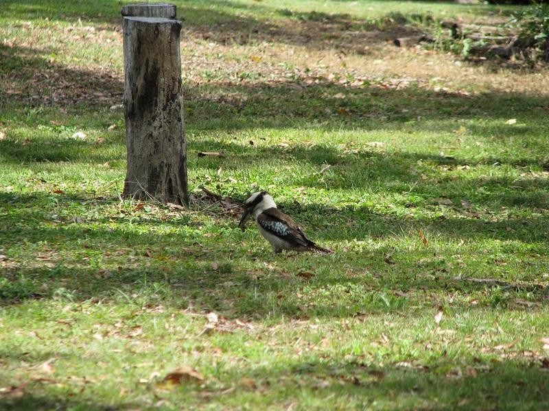 20 Crannys Road, Yeppoon QLD 4703