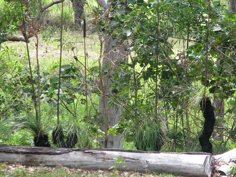 20 Crannys Road, Yeppoon QLD 4703