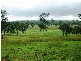 Harrami QLD 4630