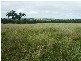 Harrami QLD 4630