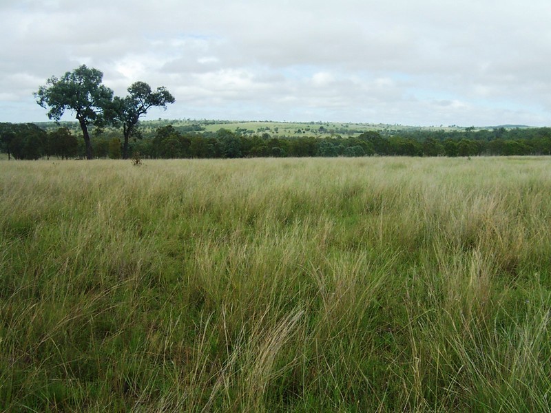 Harrami QLD 4630