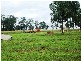 Harrami QLD 4630