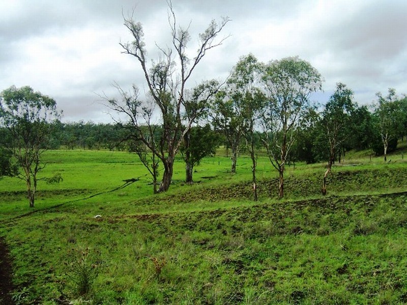 Harrami QLD 4630
