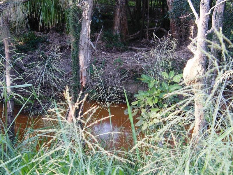 83 Macaree Road, Cawarral QLD 4702