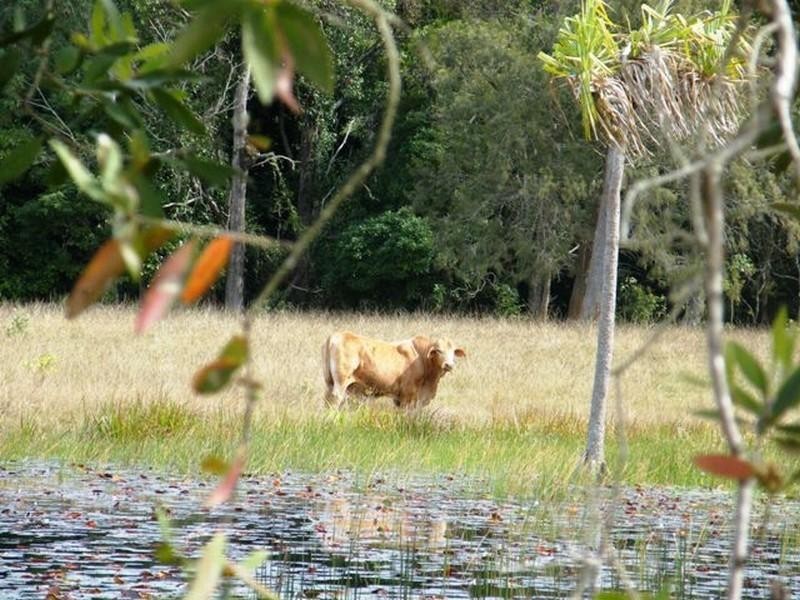 2373 Byfield Road, Byfield QLD 4703