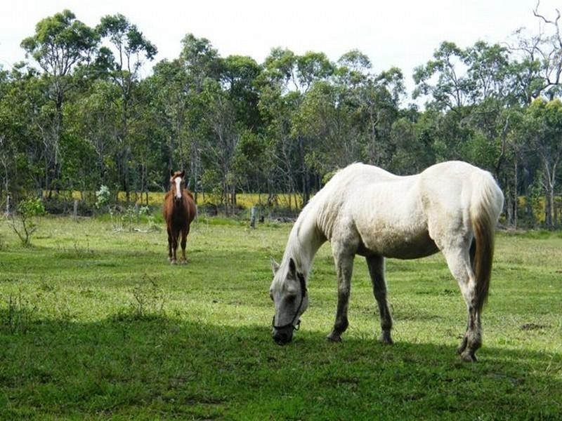 2373 Byfield Road, Byfield QLD 4703