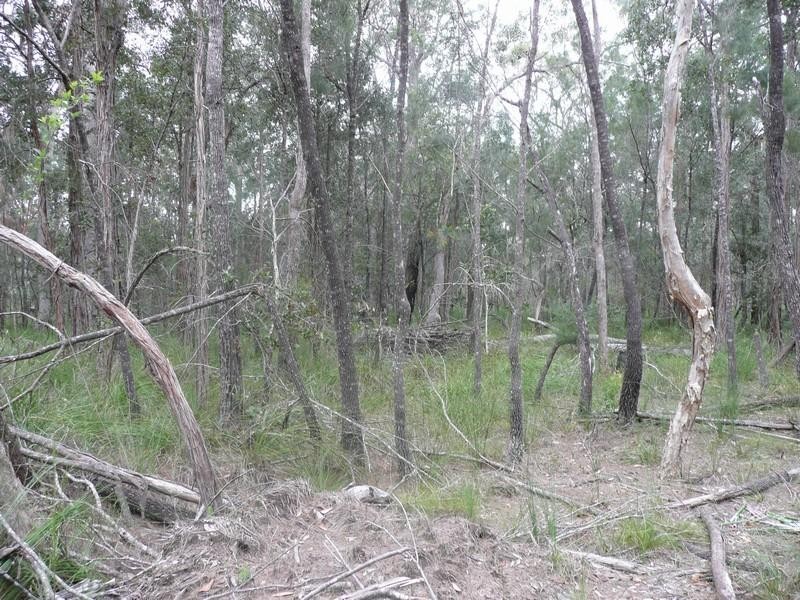Lot 1 Byfield Road, Byfield QLD 4703