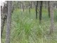 Lot 1 Byfield Road, Byfield QLD 4703