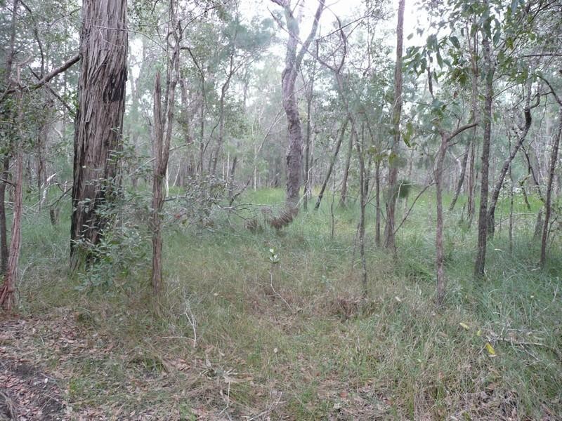 Lot 1 Byfield Road, Byfield QLD 4703