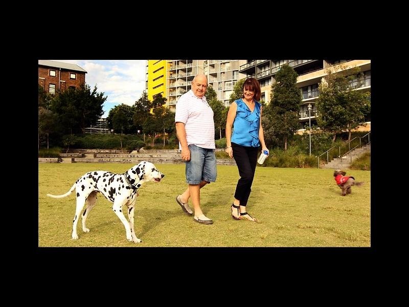 2b/2 Distillery Drive, Pyrmont NSW 2009