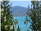 Airlie Beach QLD 4802