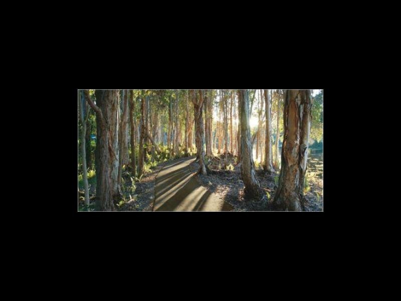 Buderim QLD 4556
