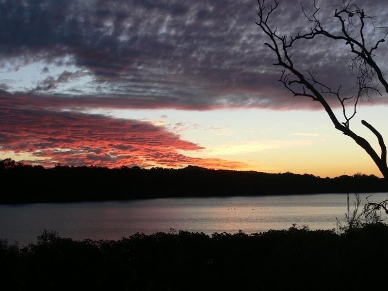 38 Goodchap Street, Noosaville QLD 4566